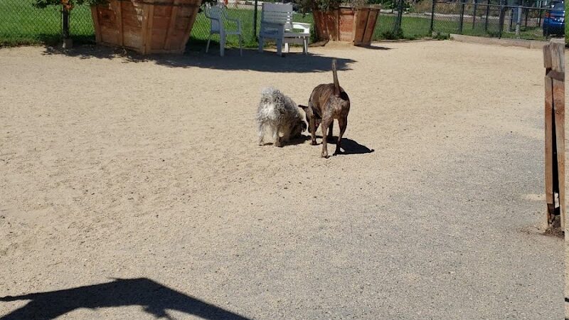 Eureka Valley Dog Play Area - San Francisco, CA