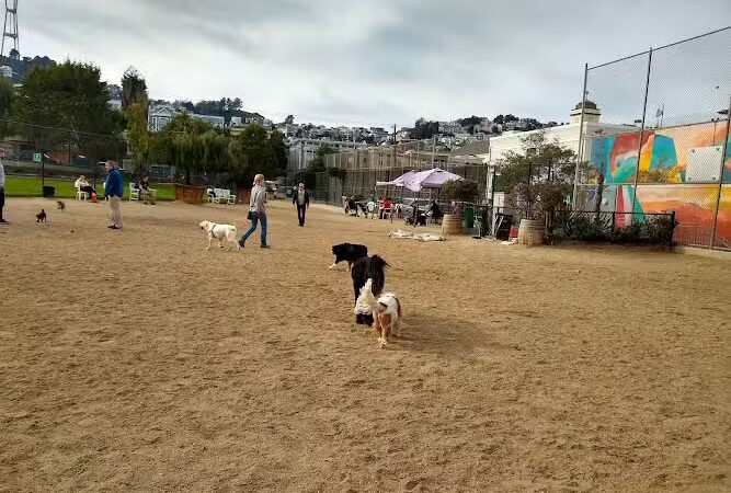 Eureka Valley Dog Play Area - San Francisco, CA