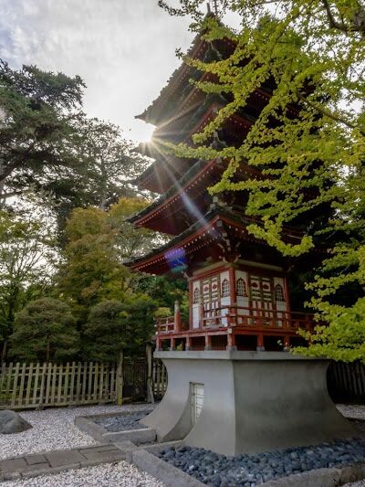 Golden Gate Park - San Francisco, CA