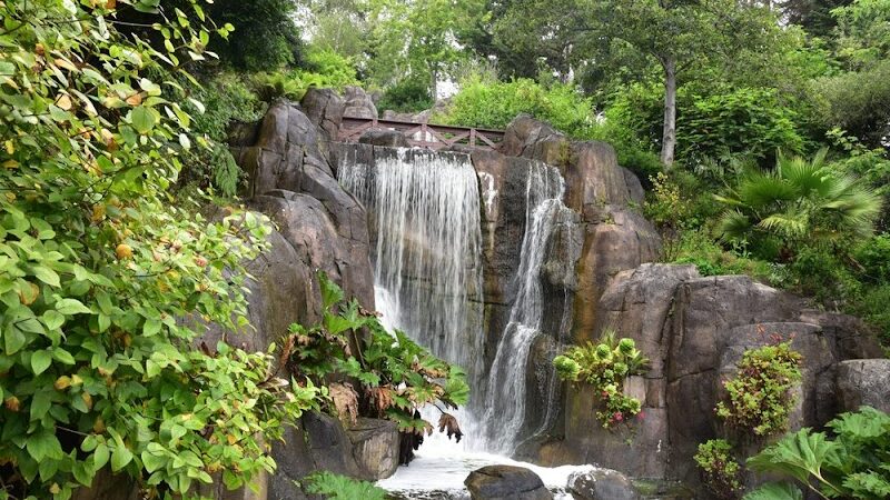 Golden Gate Park - San Francisco, CA