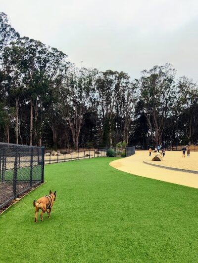 Golden Gate Park Dog Training Area - San Francisco, CA