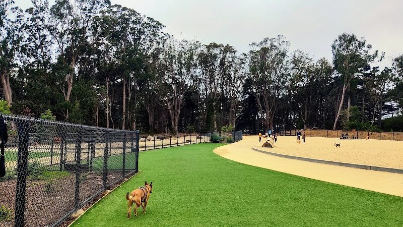 Golden Gate Park Dog Training Area - San Francisco, CA