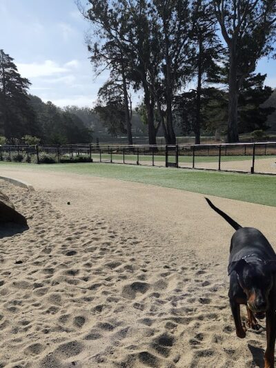 Golden Gate Park Dog Training Area - San Francisco, CA