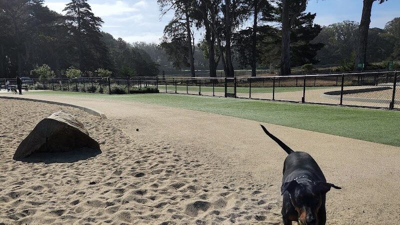 Golden Gate Park Dog Training Area - San Francisco, CA