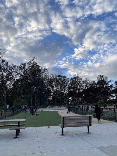Golden Gate Park Dog Training Area - San Francisco, CA
