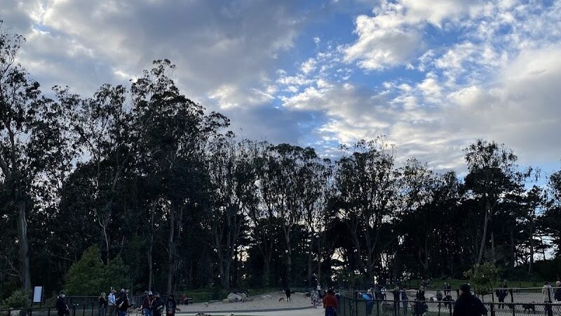 Golden Gate Park Dog Training Area - San Francisco, CA