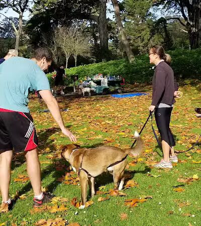 Golden Gate Park - San Francisco, CA