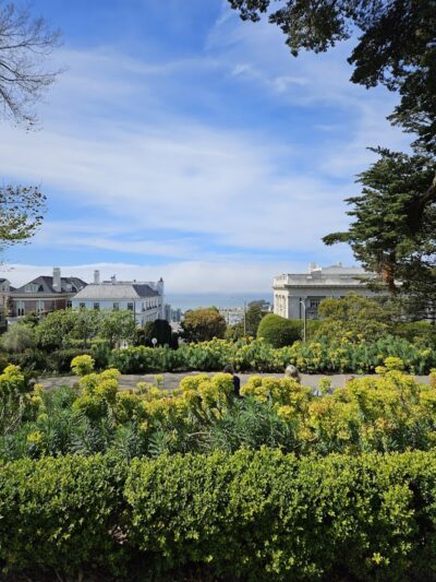 Lafayette Park Dog Play Area - San Francisco, CA