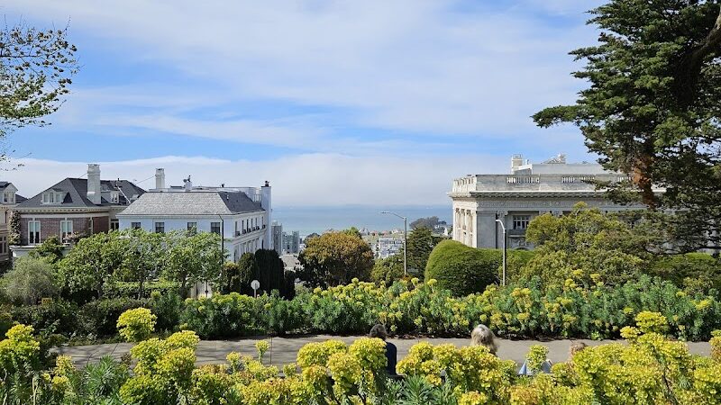 Lafayette Park Dog Play Area - San Francisco, CA