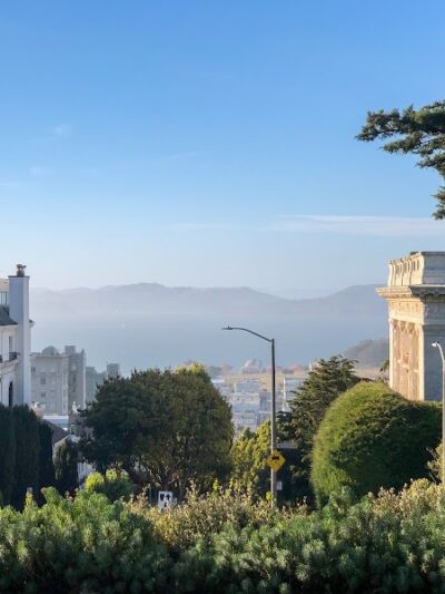 Lafayette Park Dog Play Area - San Francisco, CA