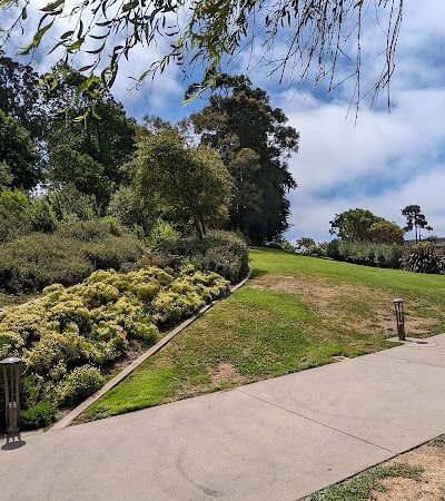 Lafayette Park Dog Play Area - San Francisco, CA