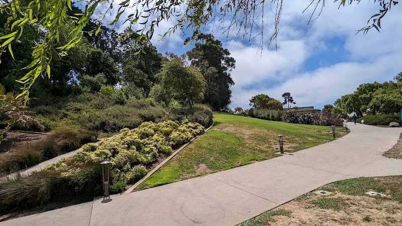 Lafayette Park Dog Play Area - San Francisco, CA