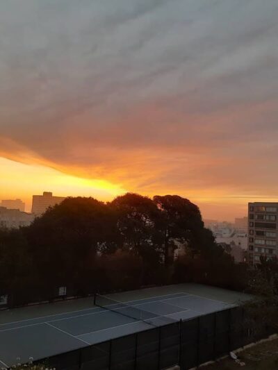 Lafayette Park Dog Play Area - San Francisco, CA