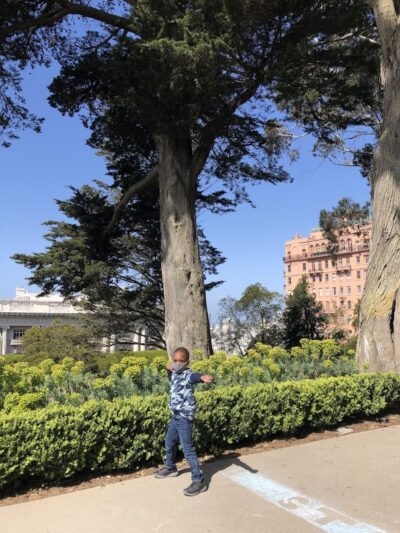 Lafayette Park Dog Play Area - San Francisco, CA