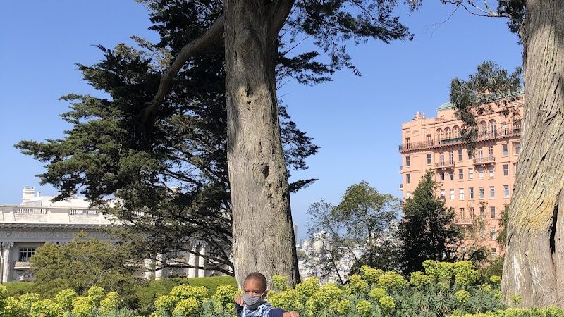 Lafayette Park Dog Play Area - San Francisco, CA