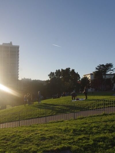 Lafayette Park Dog Play Area - San Francisco, CA