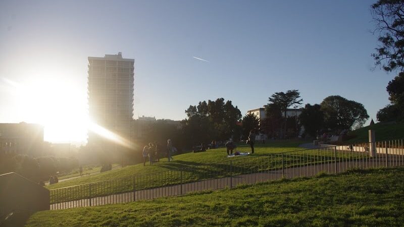 Lafayette Park Dog Play Area - San Francisco, CA
