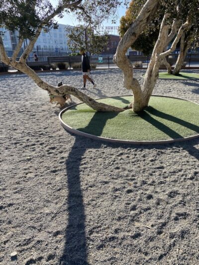 Mission Creek Dog Park - San Francisco, CA
