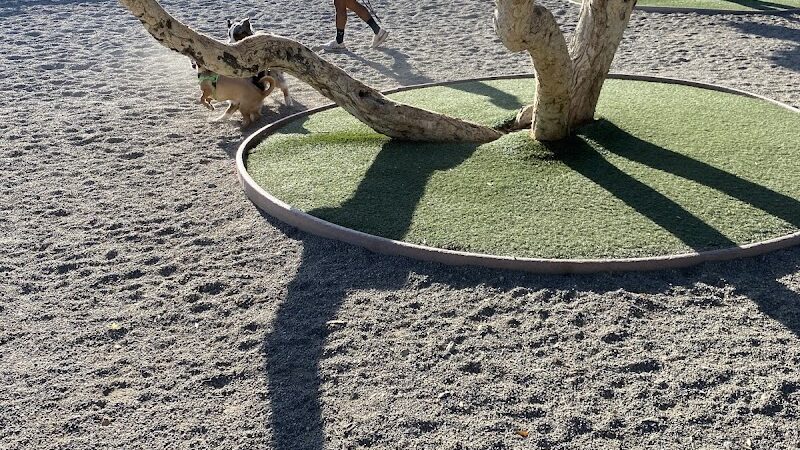 Mission Creek Dog Park - San Francisco, CA