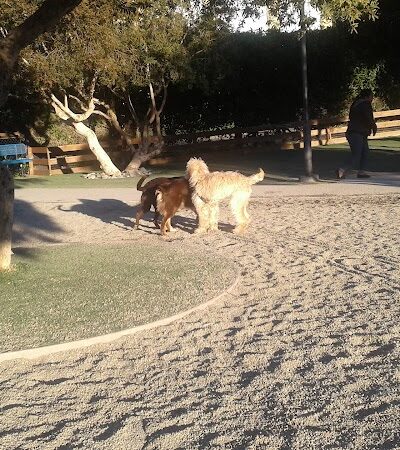 Mission Creek Dog Park - San Francisco, CA