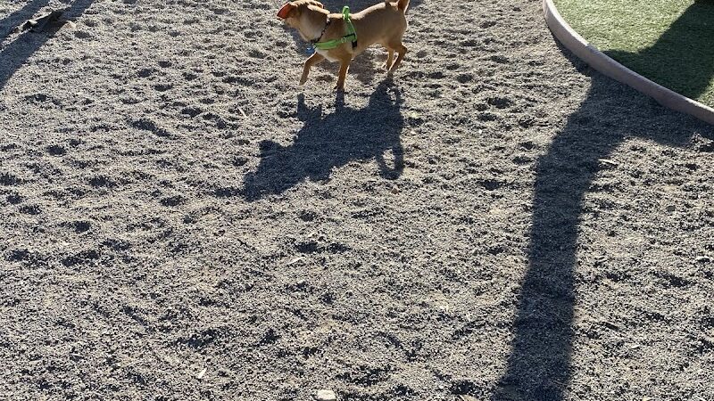 Mission Creek Dog Park - San Francisco, CA