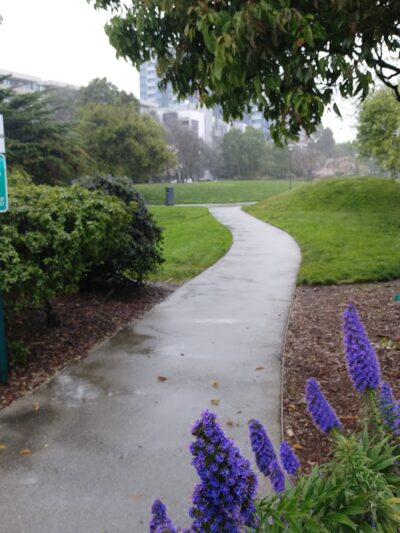 Mission Creek Dog Park - San Francisco, CA