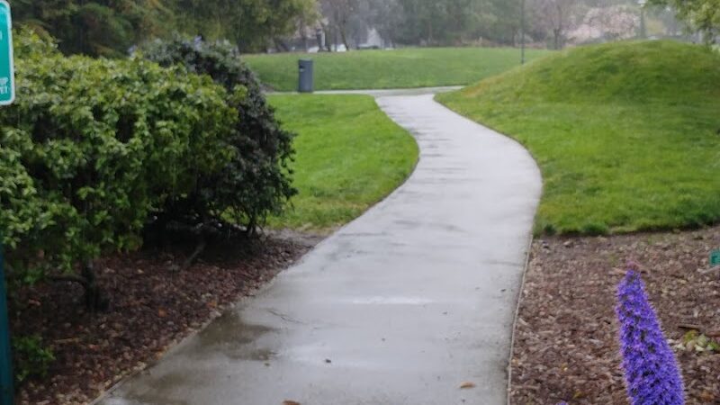 Mission Creek Dog Park - San Francisco, CA