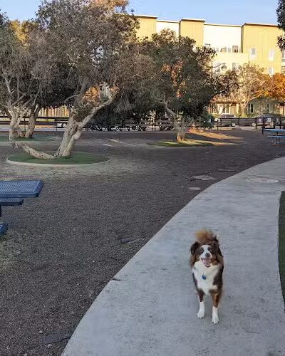 Mission Creek Dog Park - San Francisco, CA
