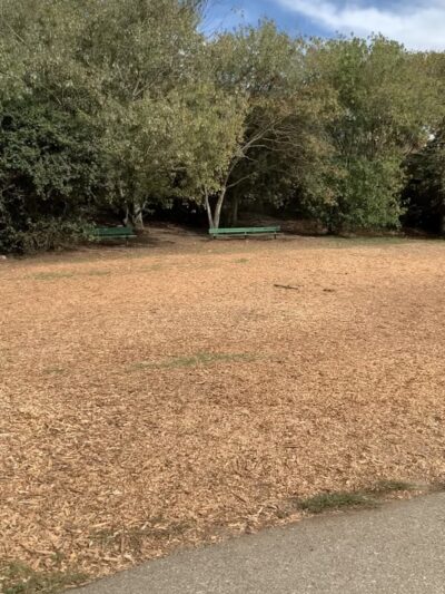 Mountain Lake Park Dog Play Area - San Francisco, CA