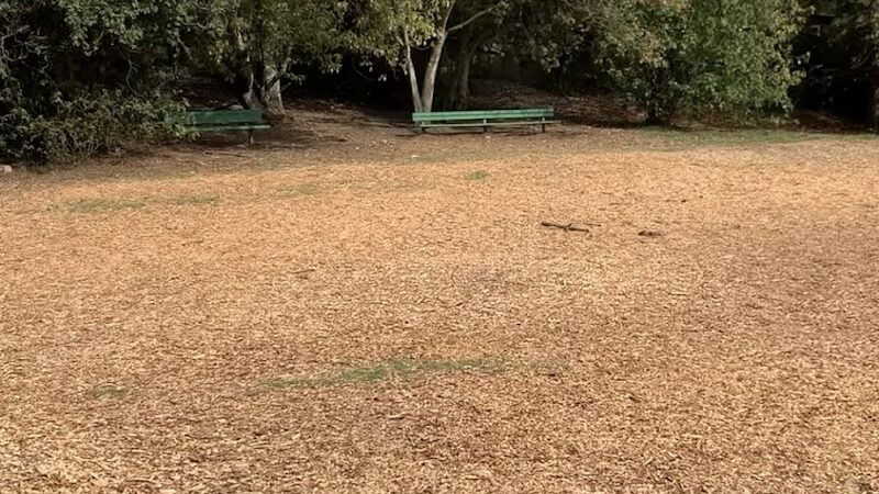 Mountain Lake Park Dog Play Area - San Francisco, CA