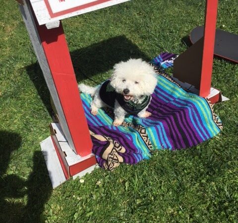 Patrick's Park - San Francisco, CA