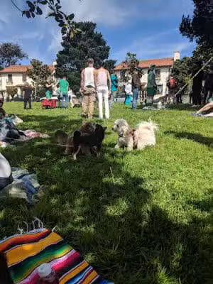 Patrick's Park - San Francisco, CA
