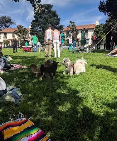 Patrick's Park - San Francisco, CA