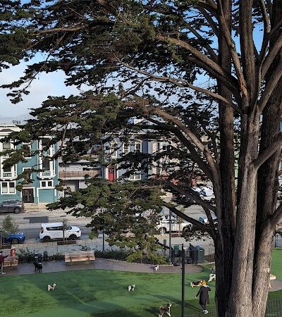 Pepi's Dog Play Area - San Francisco, CA