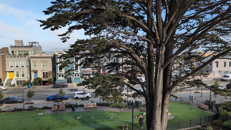 Pepi's Dog Play Area - San Francisco, CA