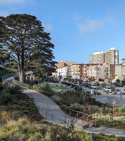 Pepi's Dog Play Area - San Francisco, CA