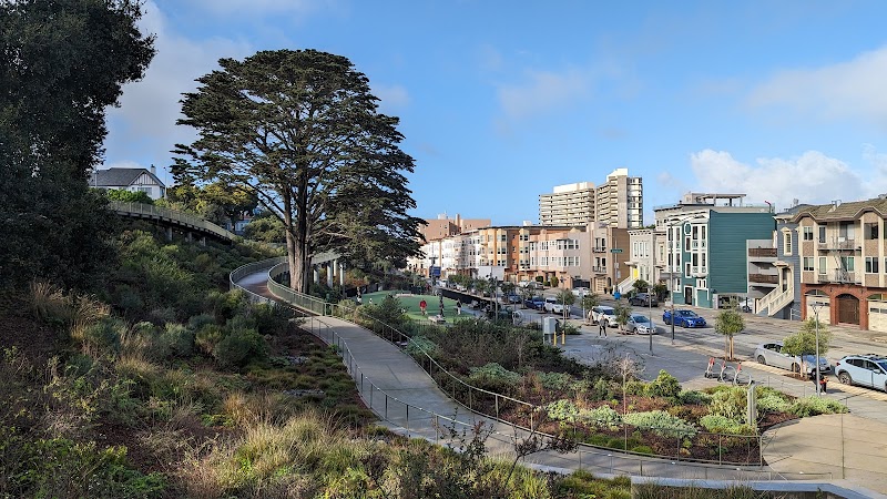 Pepi's Dog Play Area - San Francisco, CA