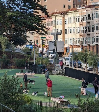 Pepi's Dog Play Area - San Francisco, CA