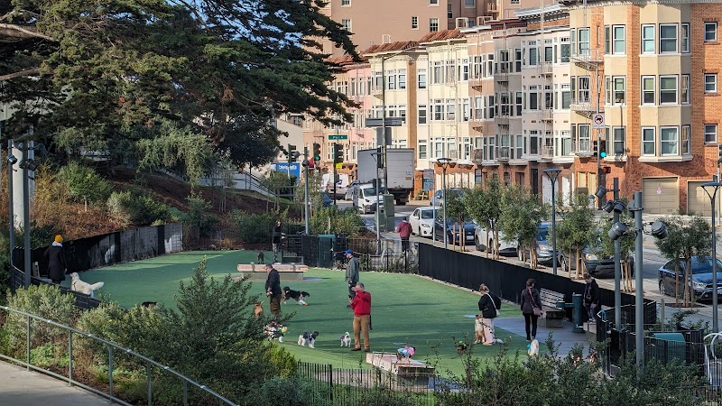 Pepi's Dog Play Area - San Francisco, CA