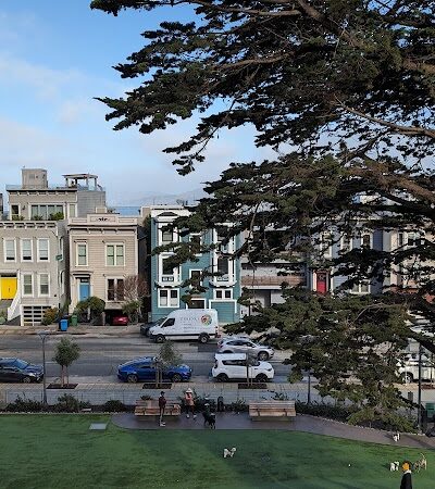 Pepi's Dog Play Area - San Francisco, CA