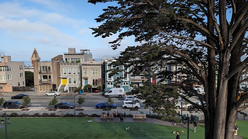 Pepi's Dog Play Area - San Francisco, CA