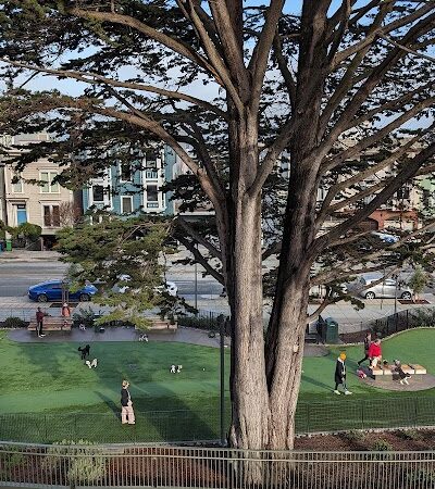 Pepi's Dog Play Area - San Francisco, CA
