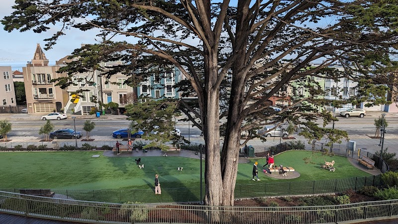 Pepi's Dog Play Area - San Francisco, CA