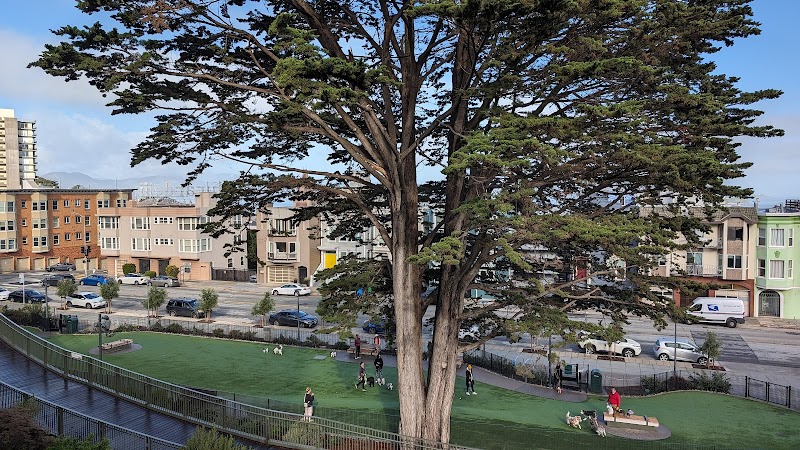 Pepi's Dog Play Area - San Francisco, CA