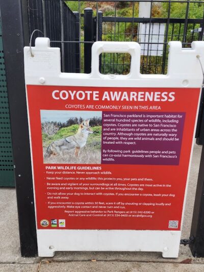 Pepi's Dog Play Area - San Francisco, CA