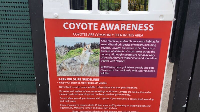 Pepi's Dog Play Area - San Francisco, CA