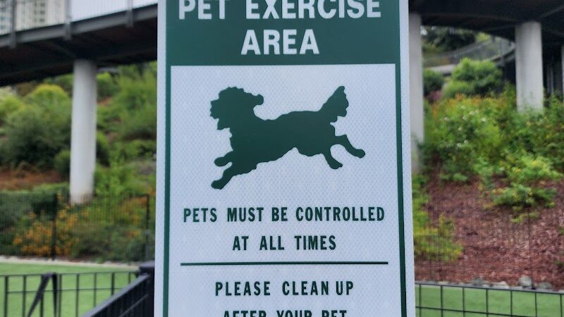 Pepi's Dog Play Area - San Francisco, CA