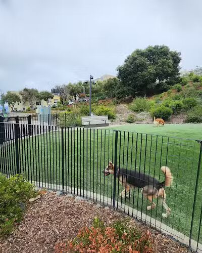 Pepi's Dog Play Area - San Francisco, CA