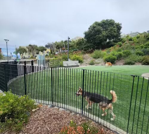 Pepi's Dog Play Area - San Francisco, CA
