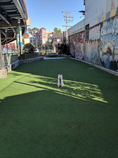 SoMa West Dog Park - San Francisco, CA